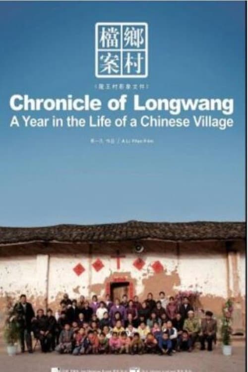 THE LONGWANG CHRONICLES: A YEAR OF LIFES IN A CHINESE VILLAGE poster