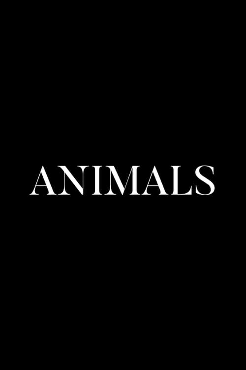 Animals poster