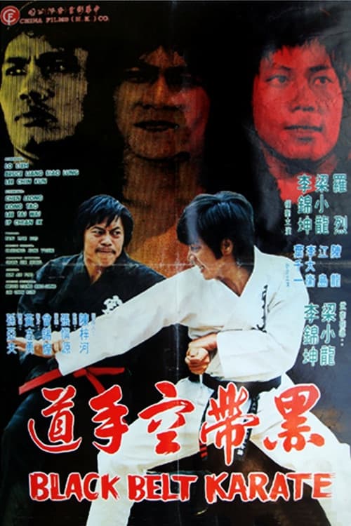 Black Belt Karate poster
