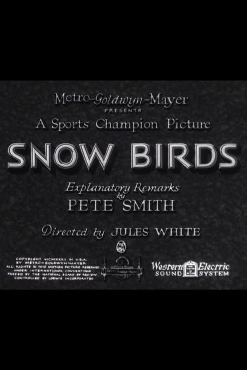 Snow Birds poster