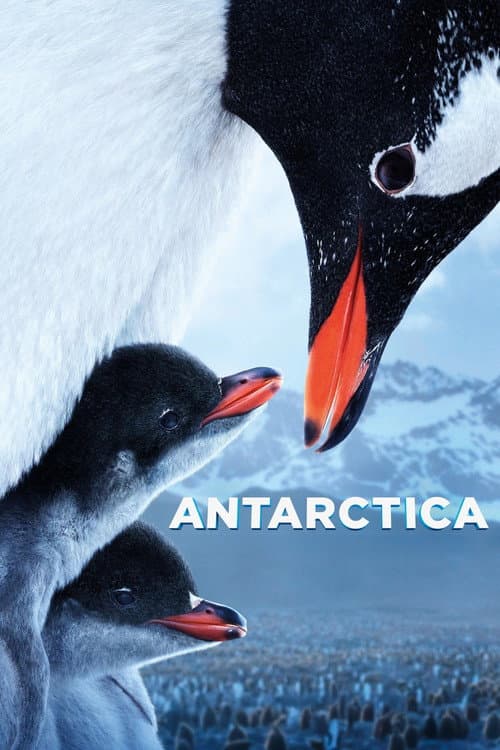 Antarctica poster