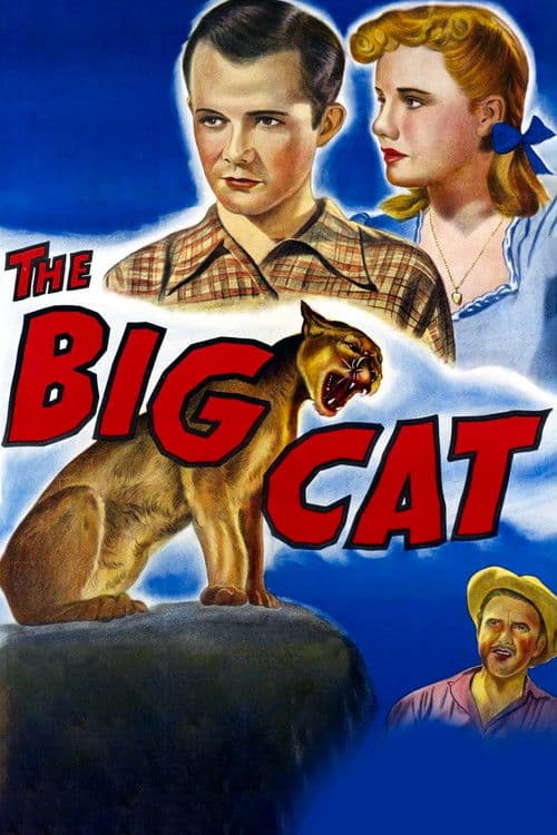 The Big Cat poster