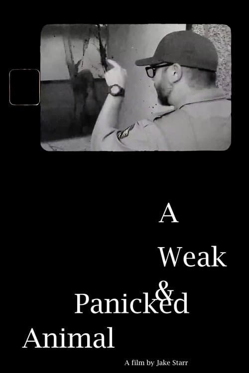A Weak & Panicked Animal poster