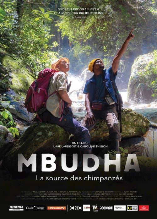 Mbudha, in the Chimpanzees' Footsteps poster
