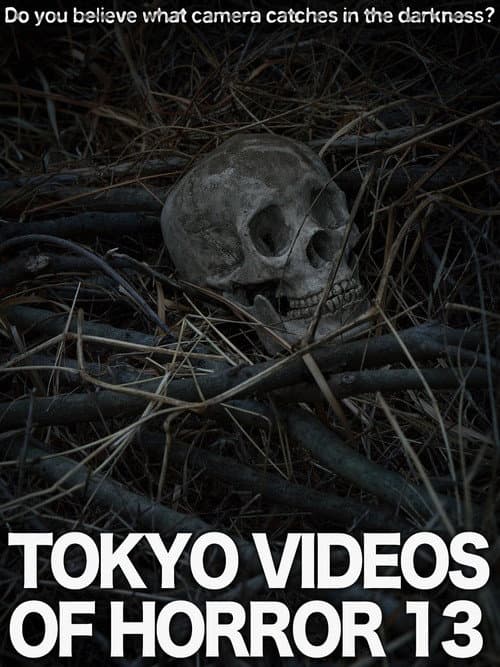 Tokyo Videos of Horror 13 poster