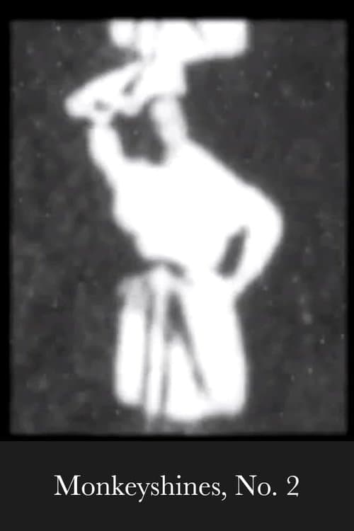 Monkeyshines, No. 2 poster