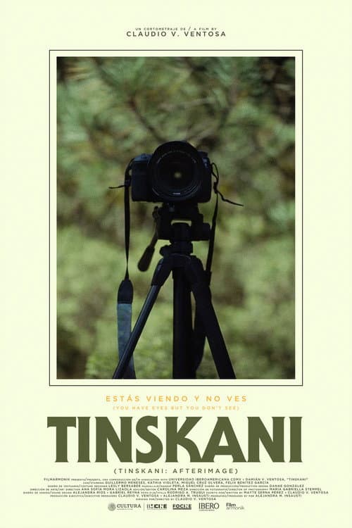Tinskani: Afterimage poster