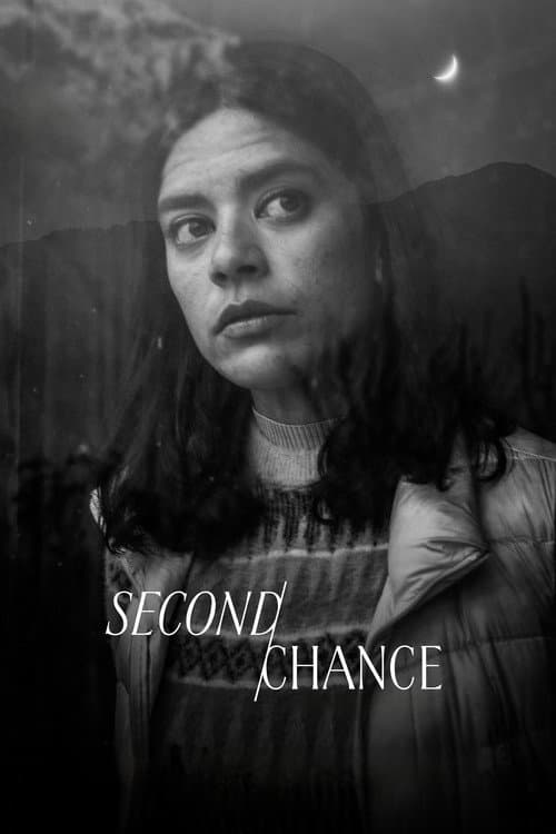 Second Chance poster
