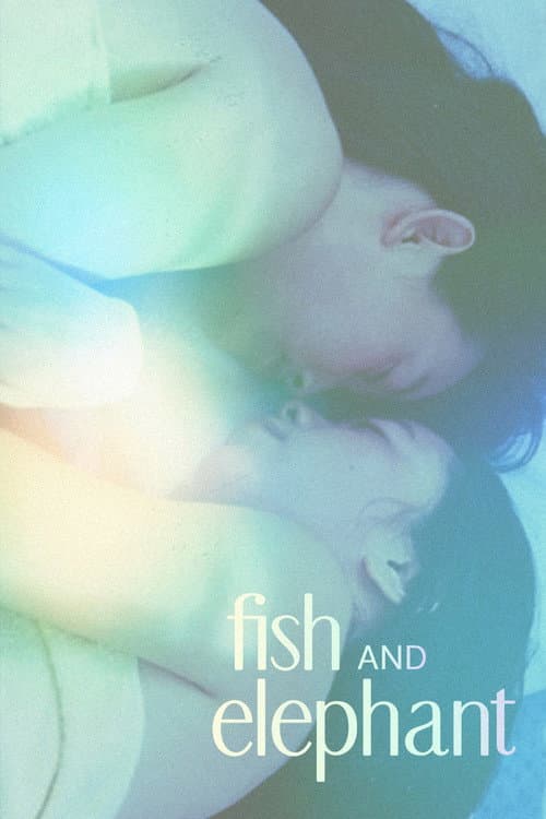 Fish and Elephant poster