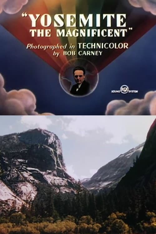 Yosemite the Magnificent poster