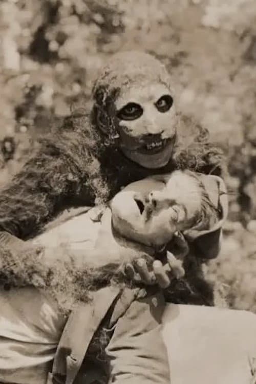 Unknown Treasures poster