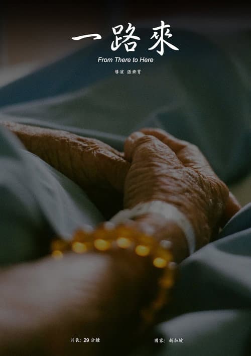 From There to Here poster
