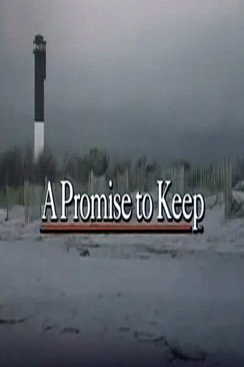 Promises to Keep poster