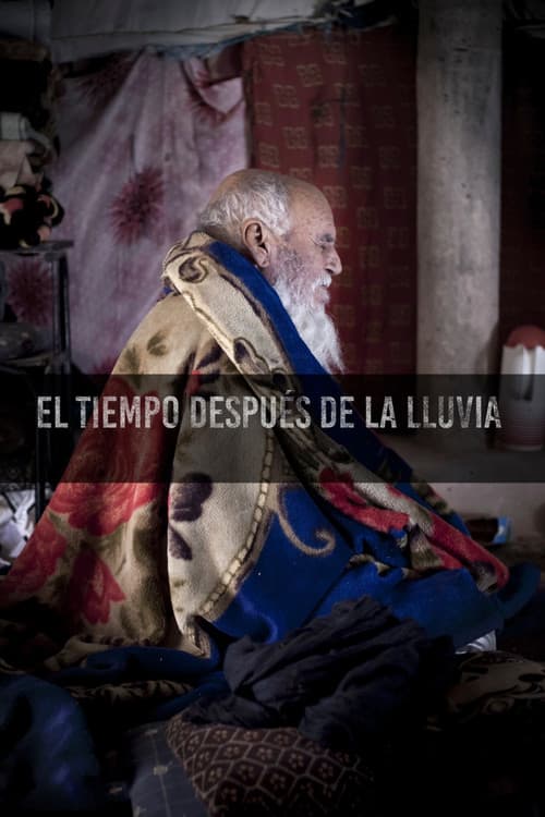 The time after the rain poster