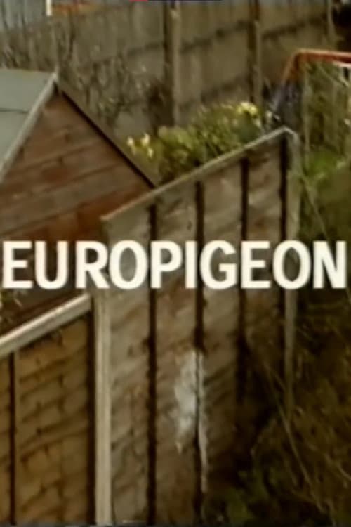 Europigeon poster