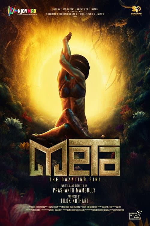 Meta: The Dazzling Girl poster