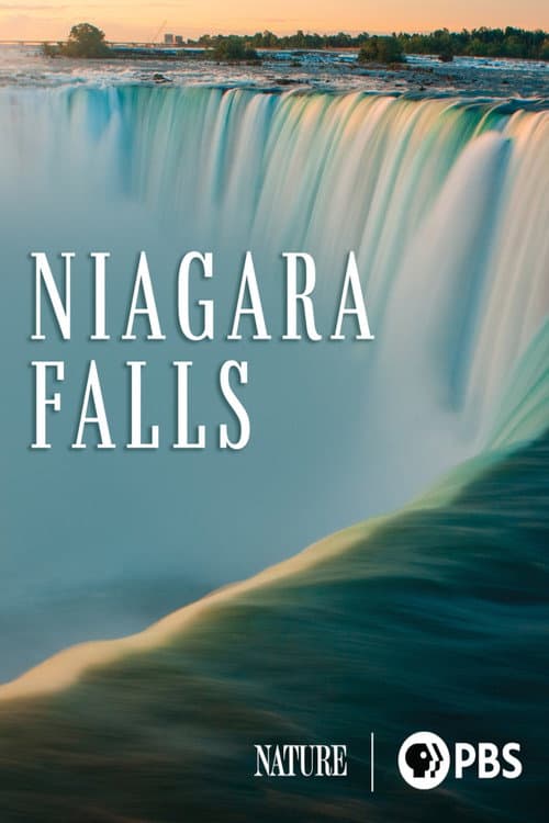 Niagara Falls poster