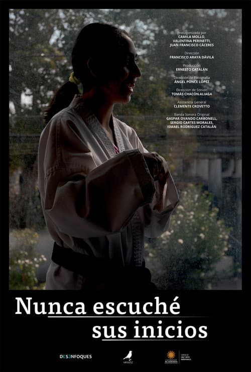 I Never Heard Their Beginnings poster