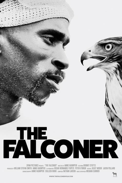 The Falconer poster