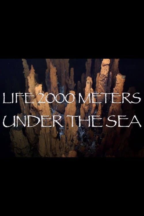 Life 2,000 Meters Under the Sea poster