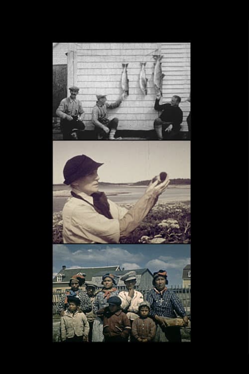 Madame Fife, l'amour d'un village poster