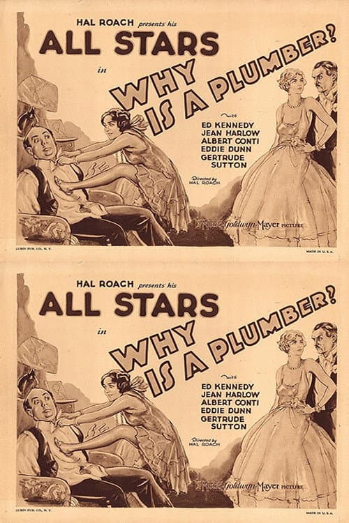 Why Is a Plumber? poster