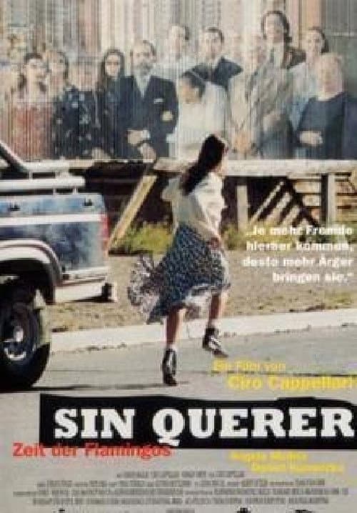 Sin querer poster