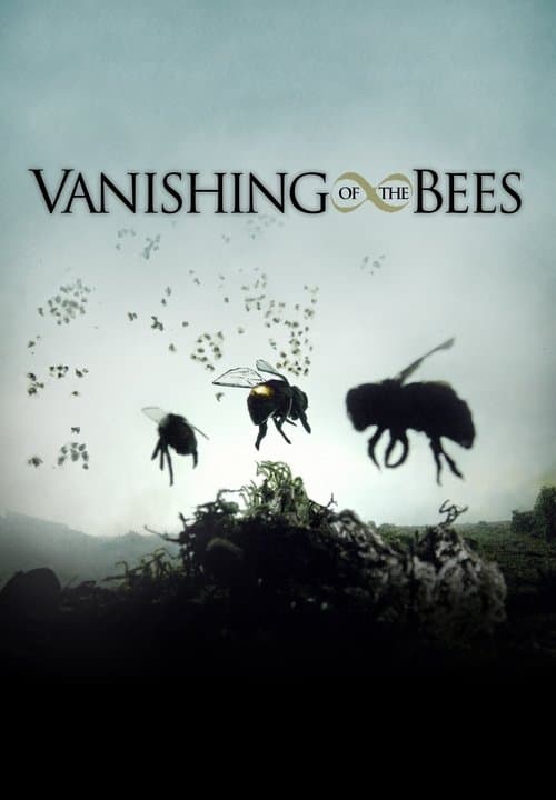 Vanishing of the Bees poster