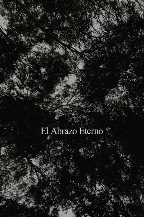 El Abrazo Eterno poster