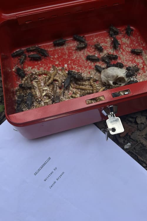 REINCARNATION poster