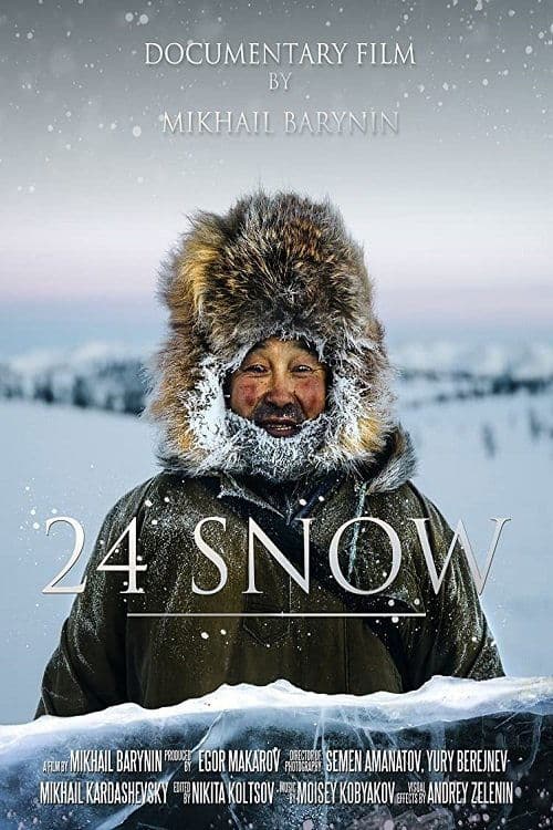 24 Snow poster