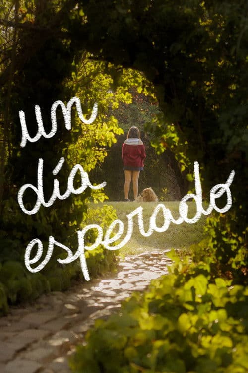 A Desired Day poster