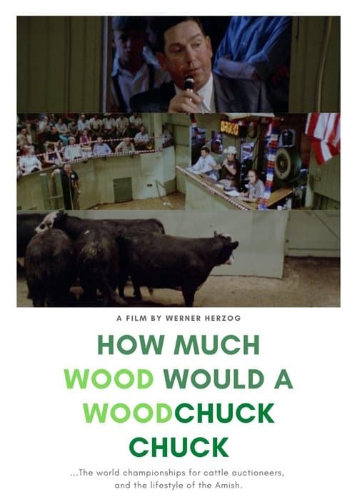 How Much Wood Would a Woodchuck Chuck poster