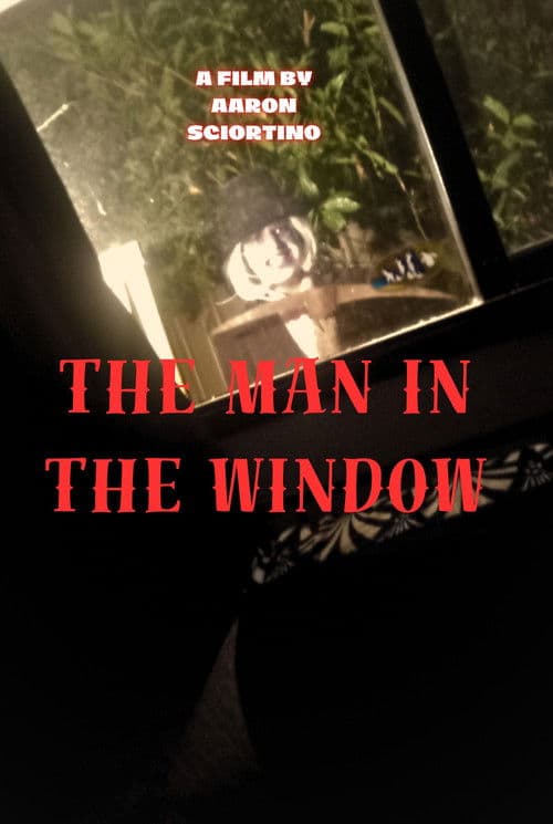 The man in the window poster