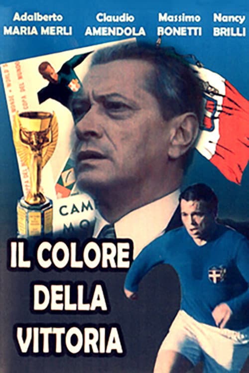 Il colore della vittoria poster