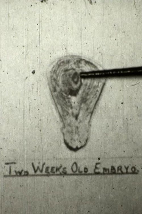 The Creation Of Life poster