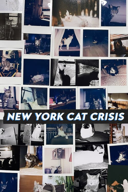 New York Cat Crisis poster