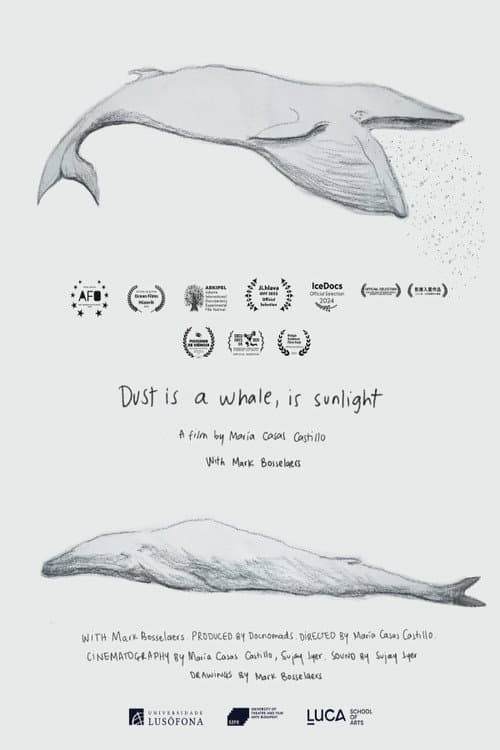 Dust is a Whale, is Sunlight poster
