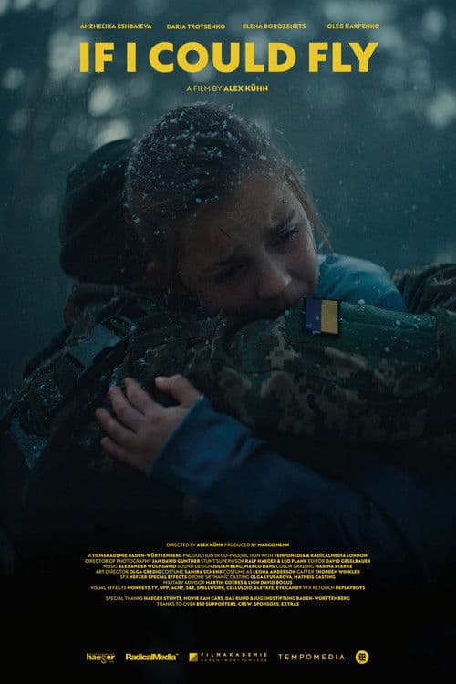 If I Could Fly poster