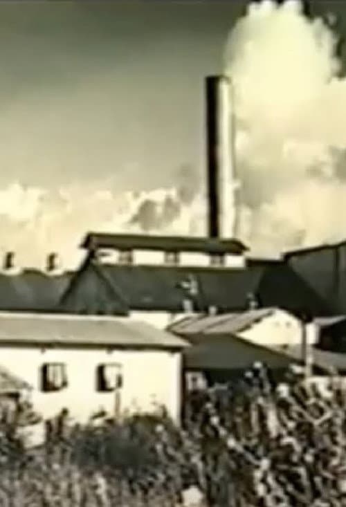 Kahuku: Survival of a Plantation Town poster