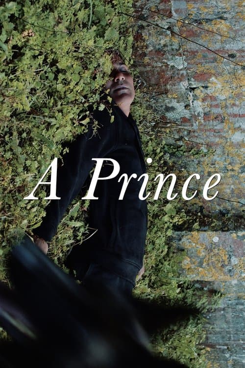 A Prince poster