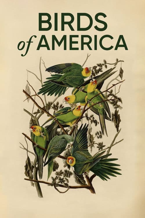 Birds of America poster