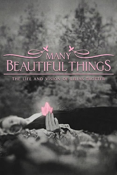 Many Beautiful Things poster
