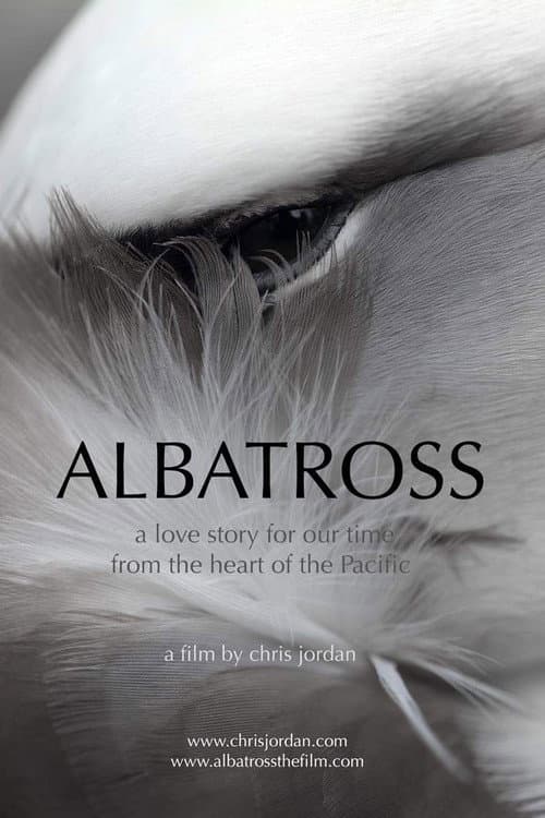 Albatross poster