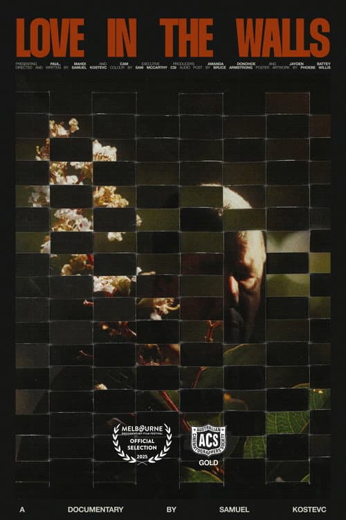Love in the Walls poster