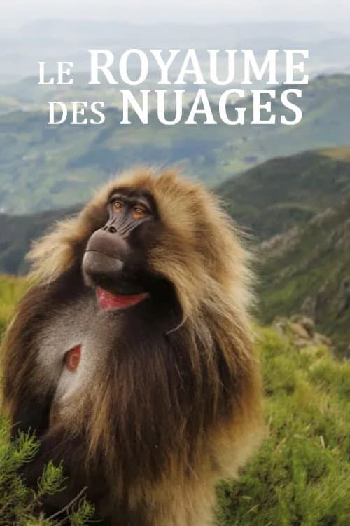 Le royaume des nuages poster