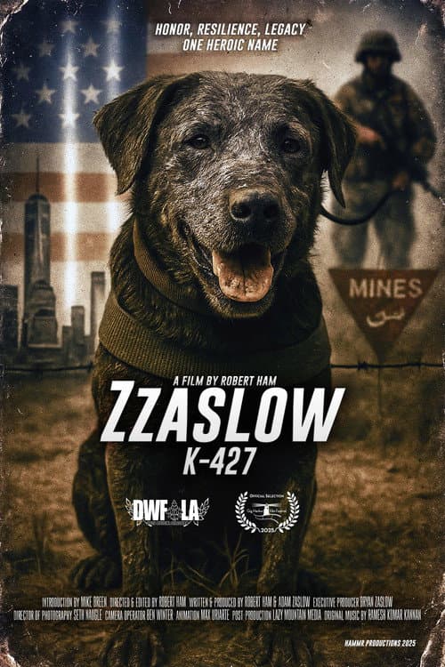 Zzaslow K-427 poster