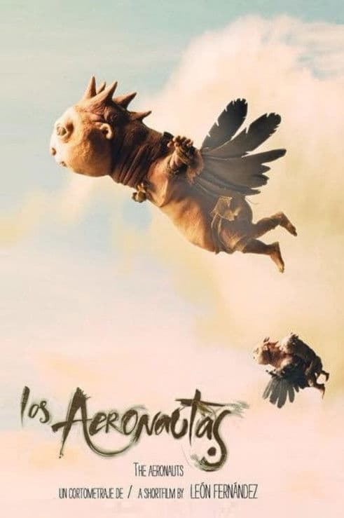 The Aeronauts poster