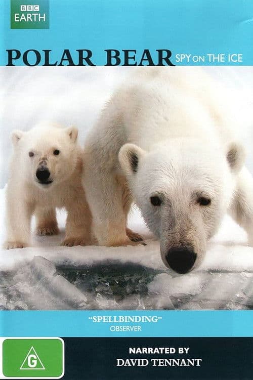 Polar Bear: Spy on the Ice poster