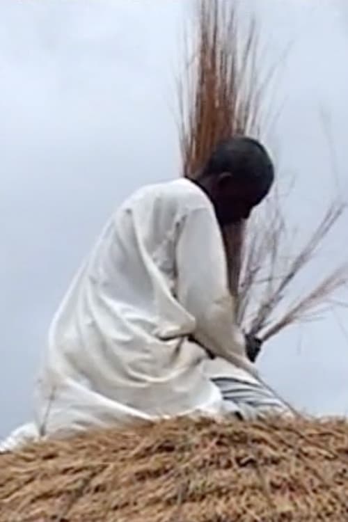 Diyam Wala: Water and Life in Kalfou Cameroon poster